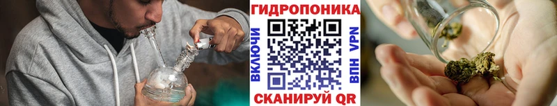 Шишки марихуана Bruce Banner  Киров 